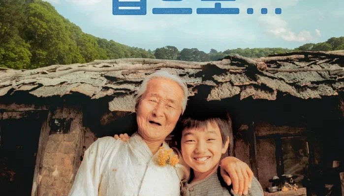 Дорога к дому (2002)